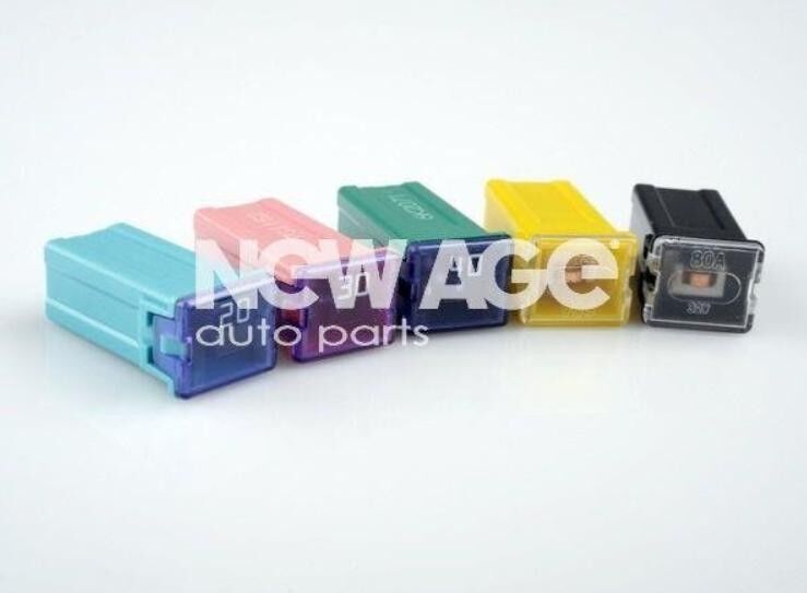 NEW AGE 252/1/80A Fuse