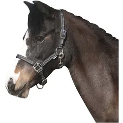Horse Guard RIO Halfter - grau/schwarz - Fohlen