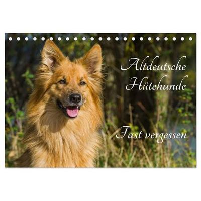 Altdeutsche Hütehunde - Fast vergessen (Tischkalender 2027 DIN A5 quer), CALVENDO Monatskalender