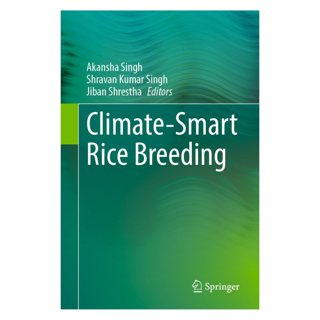 Springer Climate-Smart Rice Breeding (Englisch, Hardcover, Akansha Singh, Jiban Shrestha, Shravan Kumar Singh) (63684664)