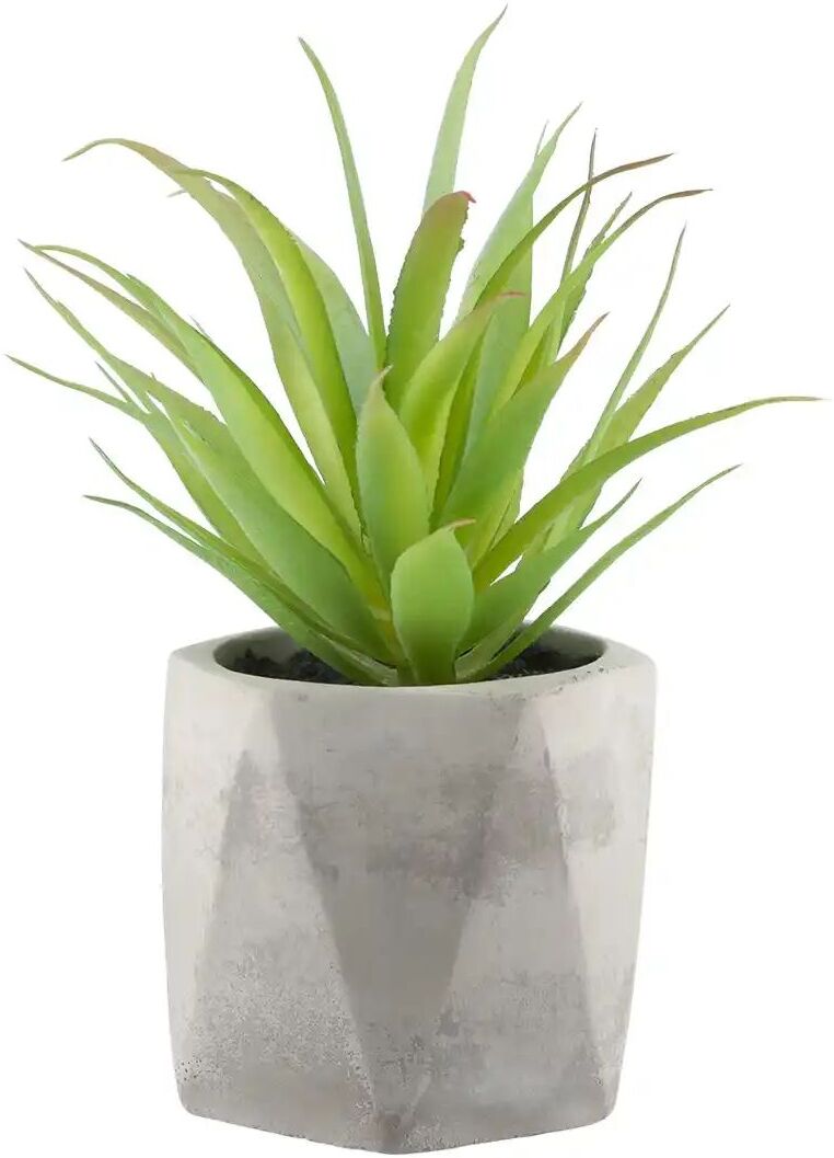 Höffner Kunstblume  Sukkulente ¦ grün ¦ Kunststoff,Schaumstoff,Stein ¦ Maße (cm): H: 14