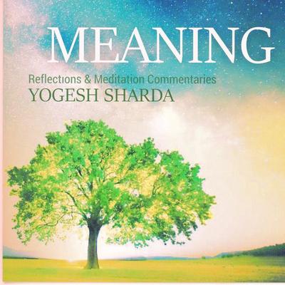 Meaning - Yogesh Sharda, Audio, 4066338861689