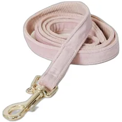 Kentucky Dogwear Hundeleine Velvet (L, Hund, Allgemein, Spazieren), Halsband + Leine