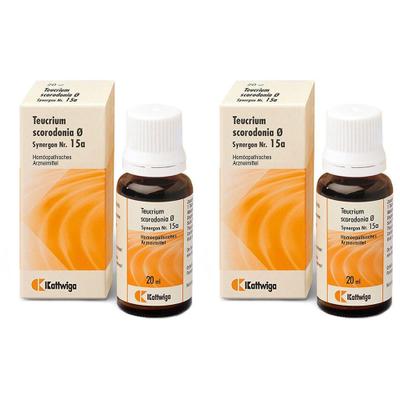 Synergon Komplex 15a Teucrium Tropfen 2x 2x50 ml