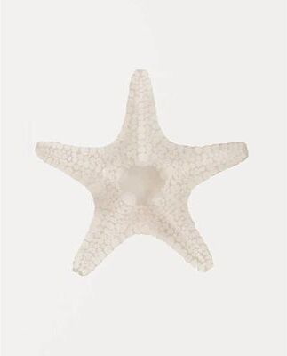 Uplifted Finds Watercolor Seashore Canvas   Coastal Shell & Starfish Print   Executive Studio & Beachfront Sanctuary Decor 5 1 Pc 40 X 60 Cm No Frame