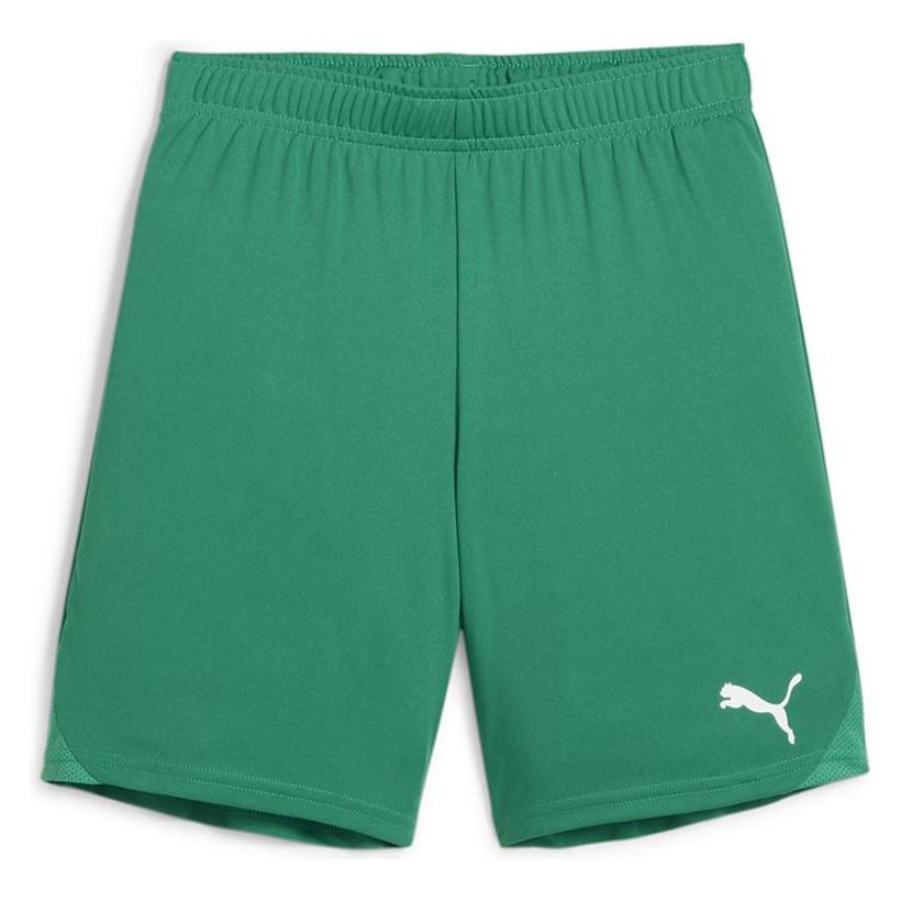 Puma teamGOAL Shorts Jr (140) (705753_05)