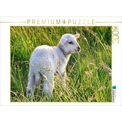 CALVENDO Puzzle Niedliches Schäfchen | 2000 Teile Lege-Größe 90x67cm Foto-Puzzle für glückliche Stunden, Sonstige von , Calvendo Puzzle