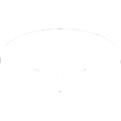 Ideal Standard DekorRosette Küche-Combi, Chrom B960452AA