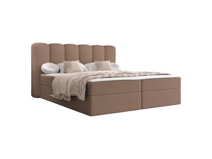BOXBETT Softi 1 Boucle - H3