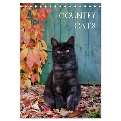 COUNTRY CATS (Tischkalender 2026 DIN A5 hoch), CALVENDO Monatskalender