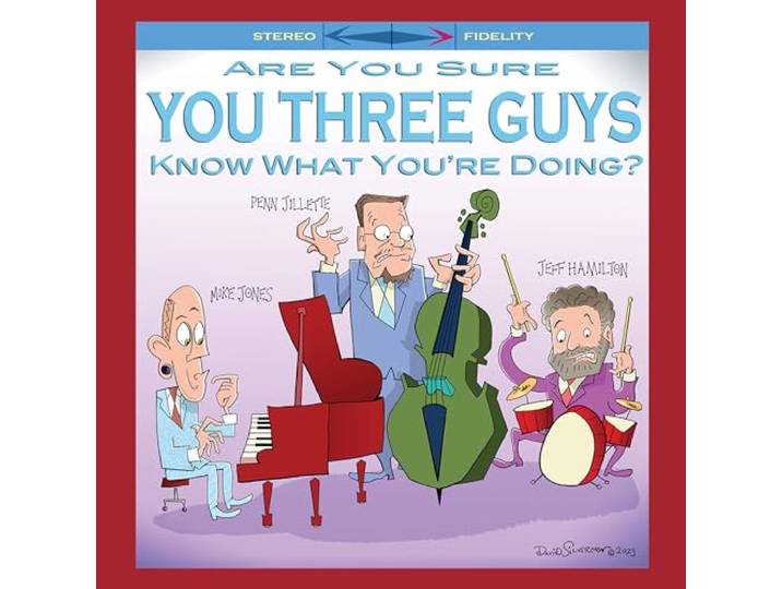 Are You Sure You Three Guys Know What You're Doing?