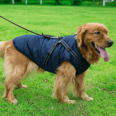 PetsAreLife Dog Coat With Zipper On Back Blue M
