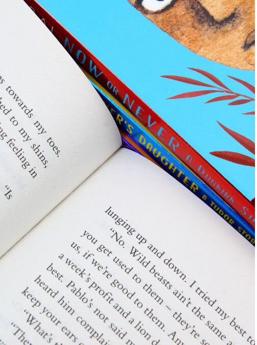Scholastic Voices Series 4 Books Collection Set – Historical Stories Collection for Young Readers