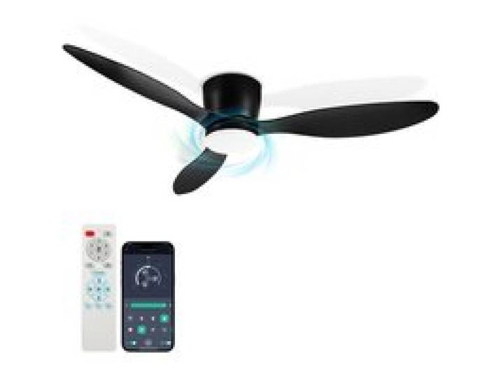 132cm Ventilateur Plafond avec Lumiere Moderne - Ventilateur Silencieux avec Télécommande -Noir