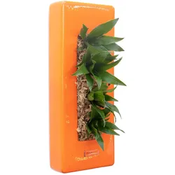 Flowerbox Box 40 - orange - 40x16 cm