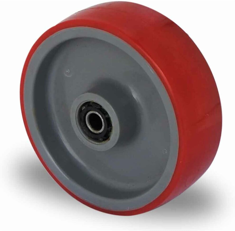 CASCOO Rad ø 100 mm Serie N2U6 Rollenlager (100N2U6R1W)