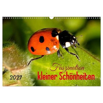 Faszination kleiner Schönheiten (Wandkalender 2027 DIN A3 quer), CALVENDO Monatskalender