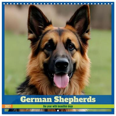 German Shepherds around the year (Wall Calendar 2027 12 × 12 Inch) CALVENDO 12 Month Wall Calendar