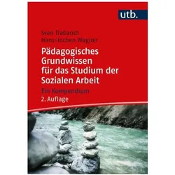 Pädagogisches Grundwissen für das Studium der Sozialen Arbeit, Fachbücher von Sven Trabandt, Hans-Jochen Wagner