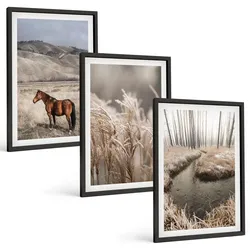 BILDER SET 3er Set - 40x60 cm Schwarzer Rahmen - Pferde, Landschaft, Gras, Bach