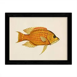 POSTER Fish – Vintage A3 Rahmenlos