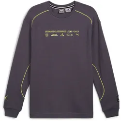 PUMA BMW M Motorsport Statement Langarmshirt Herren 06 - galactic gray S