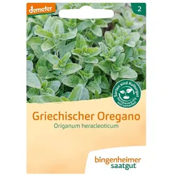 Griechischer Oregano - Origanum heracleoticum