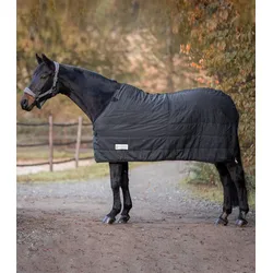 Unterdecke WA Economic Thermo 100g 100g