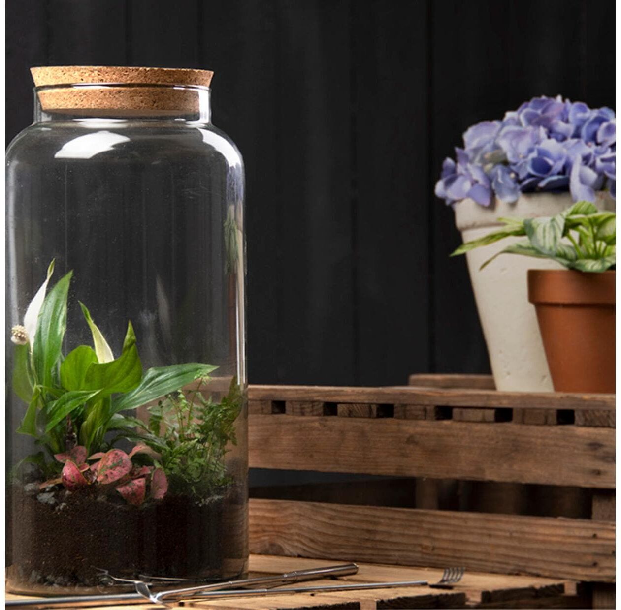 Terrarium ESSCHERT DESIGN "L, 45430 x 41.3 cm", transparent, H:41,3cm, Glas, Vivarien, Terrarium transparent B/H/T: 41,3cm