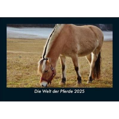 Die Welt der Pferde 2025 Fotokalender DIN A5