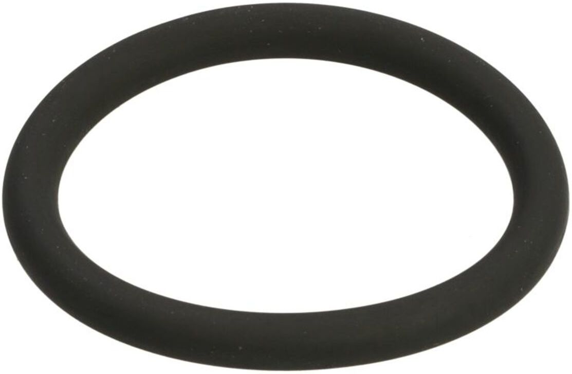 Gummi O-Ringe LEMA LE125040