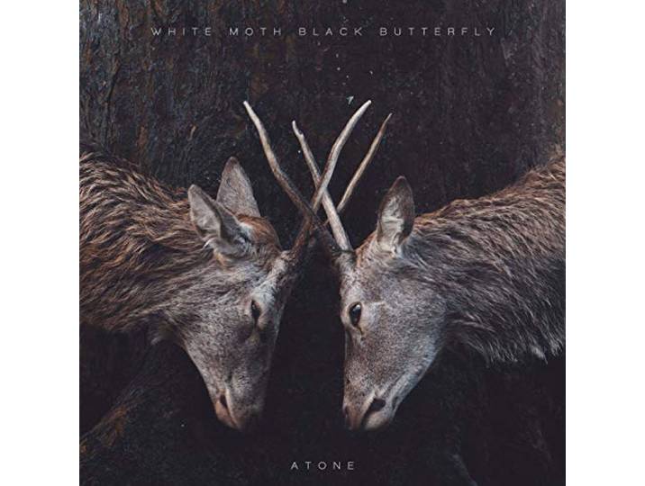 White Moth Black Butterfly - Atone