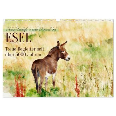 Esel - Treue Begleiter seit über 5000 Jahren (Wandkalender 2027 DIN A3 quer), CALVENDO Monatskalender