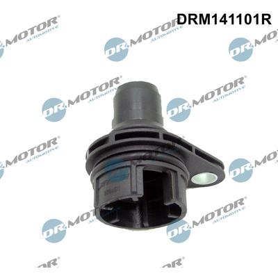 DR.MOTOR AUTOMOTIVE Rohrleitung, AGR-Ventil DRM141101R für LAND ROVER