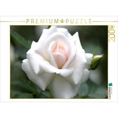 CALVENDO Puzzle Rose 'Gruß an Aachen' | 2000 Teile Lege-Größe 90x67cm Foto-Puzzle für glückliche Stunden