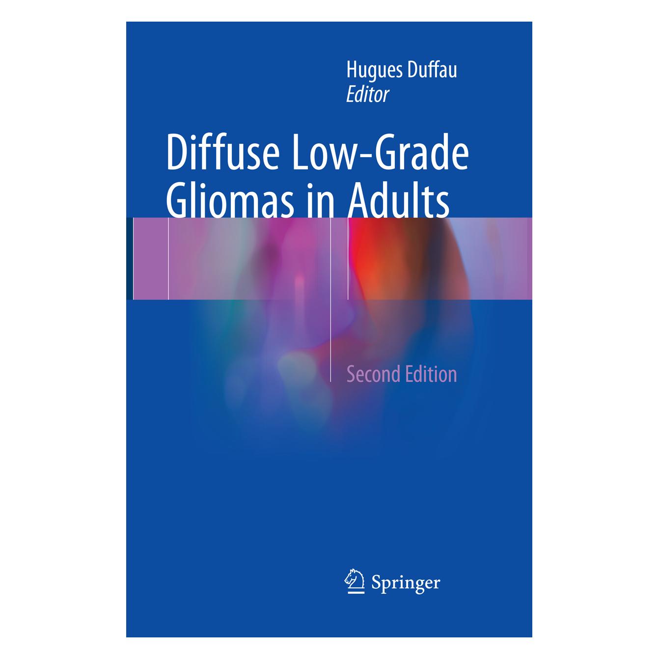 Springer Diffuse Low-Grade Gliomas in Adults (Englisch, Softcover, Hugues Duffau) (56051479)