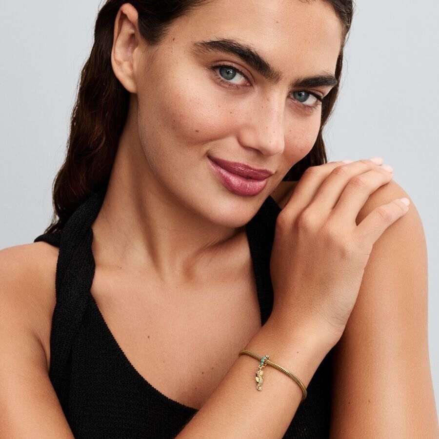 Pandora Moments berlock 763895C01