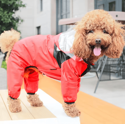 Inspire Picks Transparent Hooded Pet Raincoat Waterproof Jumpsuit For Dogs & Cats red xl