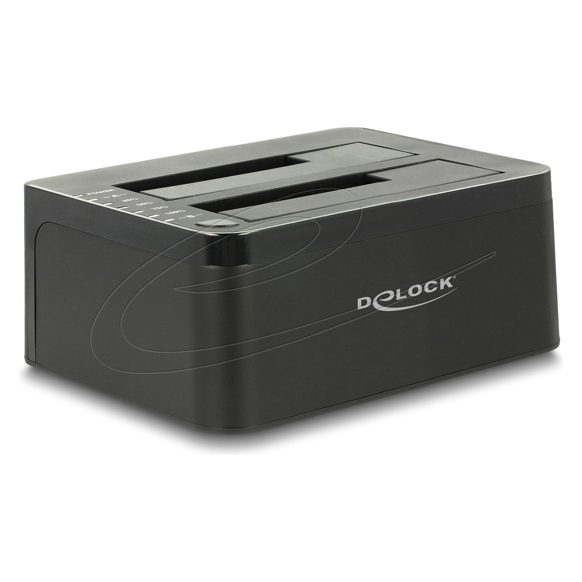 Delock Dual Dockingstation (62661)