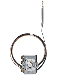 Jumo Temperaturwächter 60003225