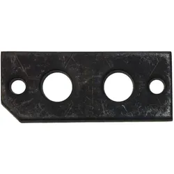 BOSCH Ersatzteil TTNR: 8718583001 Dichtung Elektrode (2x) everp