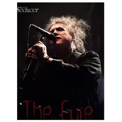 The Cure Chronik von Sonic Seducer, Fachbücher