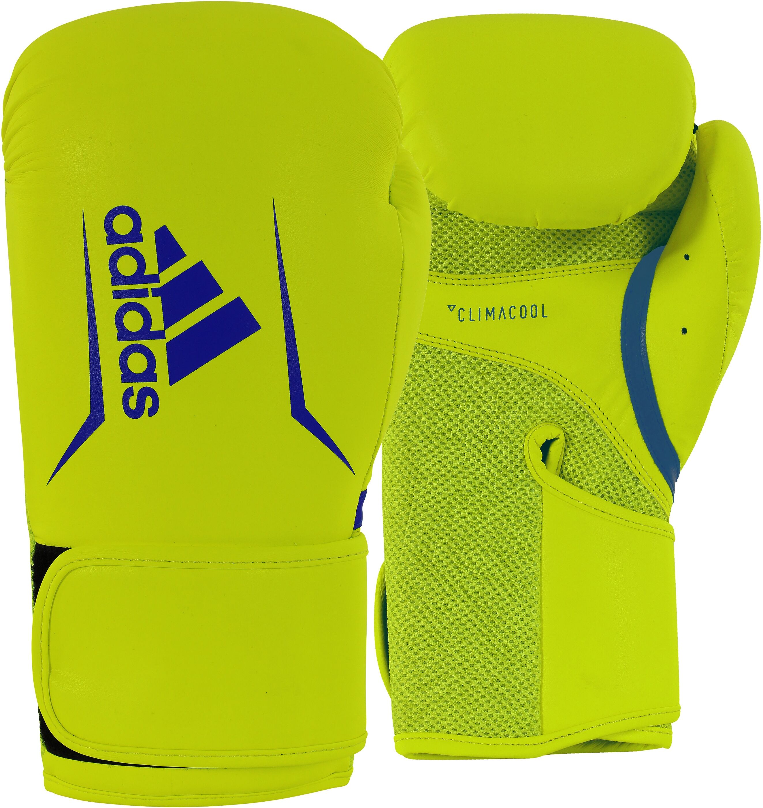 Boxhandschuhe ADIDAS PERFORMANCE "Speed 100" Gr. 10, gelb (gelb, blau), Boxhandschuhe, 10 10, Obermaterial: 100% Kunstleder, Boxhandschuhe
