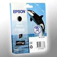 Epson Tinte C13T76084N matt schwarz T7608