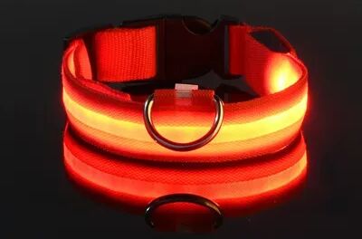 Fusion Finds LED Dog Collar For Night Safety Rechargeable Light Up Dog Collar With Flashing Glow For Small, Medium & Large Dogs red l