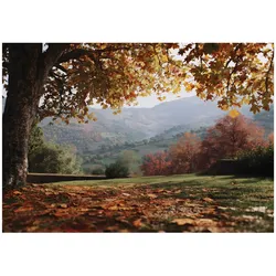 FOTOTAPETE Landschaft Wald Braun 350x250 cm