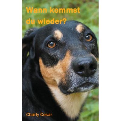 Wann kommst du wieder?, Taschenbuch von Charly Cesar, BoD – Books on Demand, 978-3-7534-7339-0