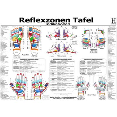 Reflexzonen Tafel - Indikationen - A3 (laminiert), Sonstige von , Hawelka, Uwe, 978-3-939378-31-0