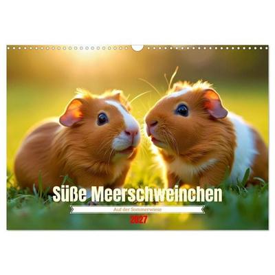 Süße Meerschweinchen (Wandkalender 2027 DIN A3 quer), CALVENDO Monatskalender