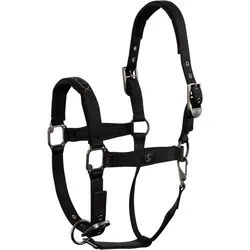 BR Equestrian Equipment, Halfter